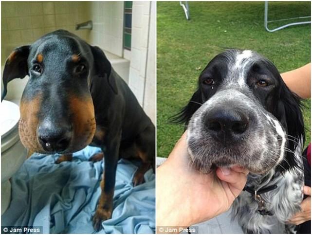 星空·综合体育