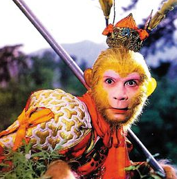 星空·综合体育