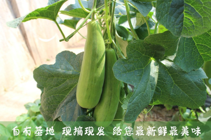 星空·综合体育