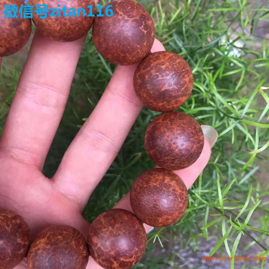 绿‘星空·综合体育’(图2) 星空综合