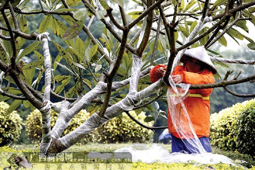 星空·综合体育