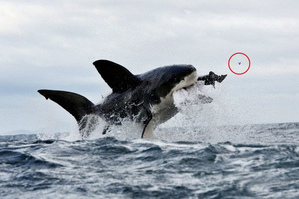 外公印象【星空·综合体育】(图1) 星空综合