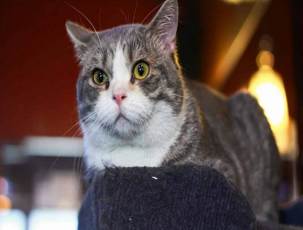 星空·综合体育