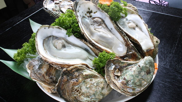 星空综合_2016升级版 建筑纪元展会隆重开幕!(图2) 星空综合